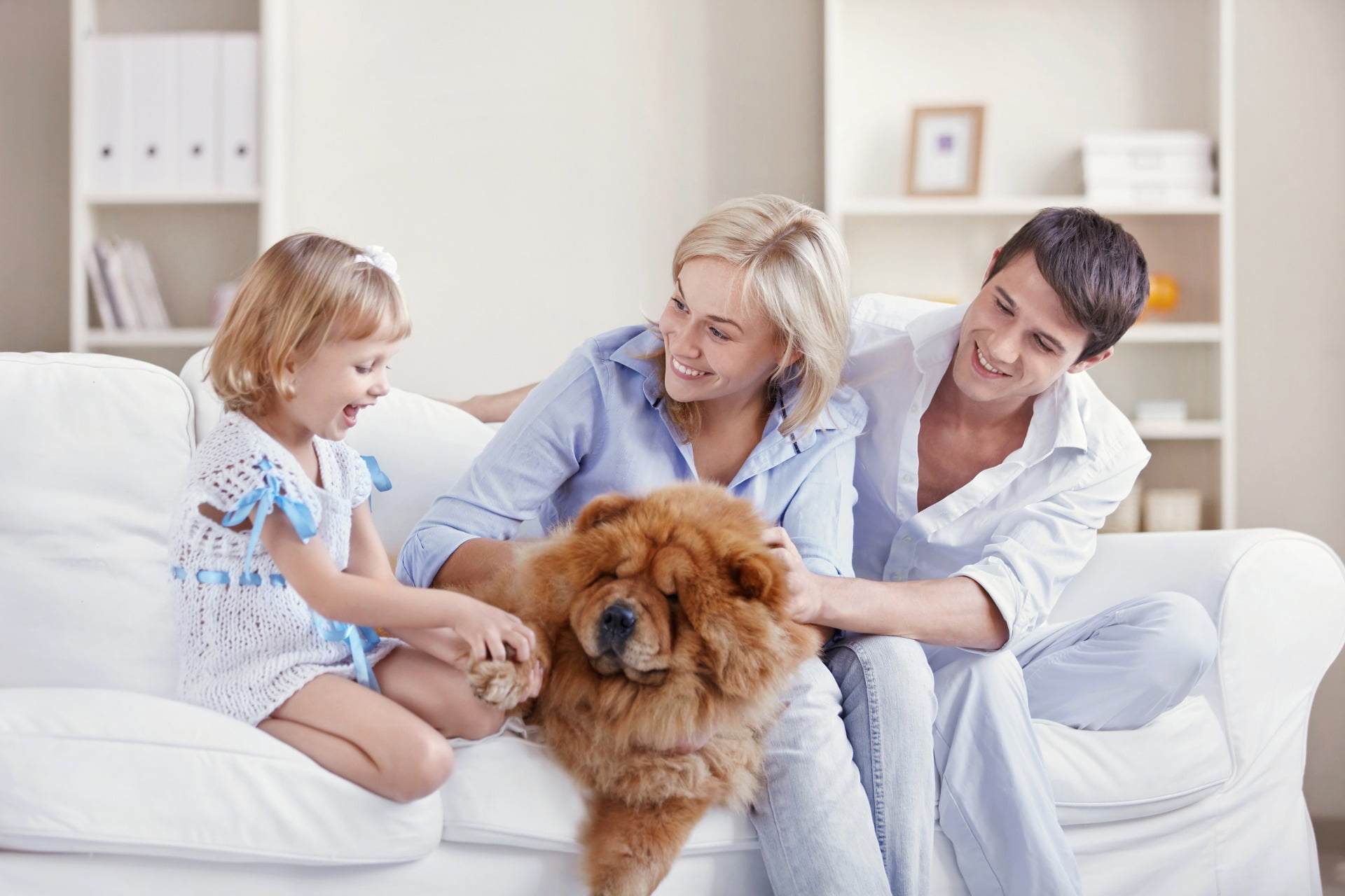 ¿Cuánto invertir en campañas y que resultados obtendré? 1 familia junto a su mascvota en un sofa