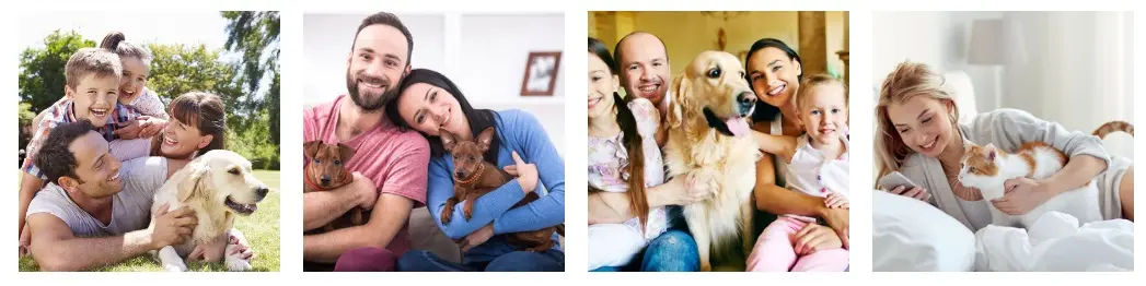 ¿Está preparada tu clínica veterinaria para una competencia feroz? 2 marketing strategia veterinaria 1