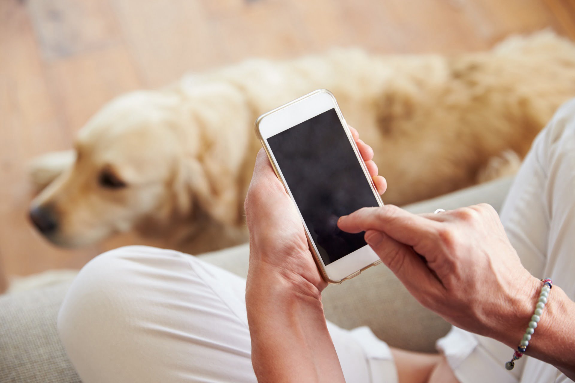 ¿Necesita mi clínica veterinaria las redes sociales? 1 mirando mobil junto a canino