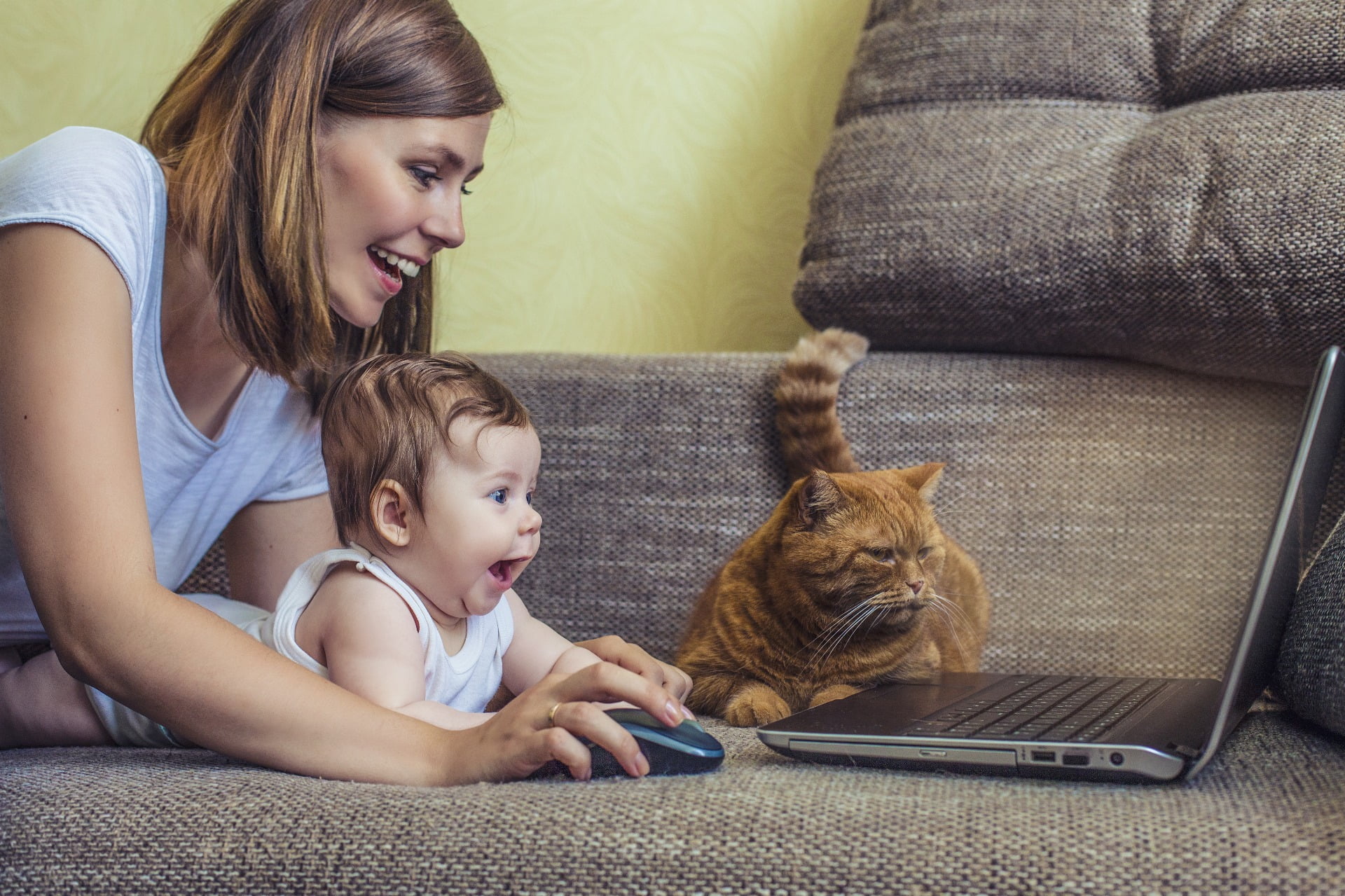 ¿Necesita mi clínica veterinaria las redes sociales? 2 shutterstock 291216863 2